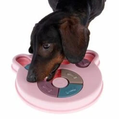 Intelligenzspielzeug Snack Paw 19 Intelligenzspielzeug Snack Paw -Angebote Hunde Moden Store 230497 snack paw fg 0739 4