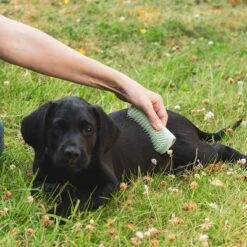 Pet Teezer Welpenbürste -Angebote Hunde Moden Store 230724 pet teezer welpenbuerste hs 17 0