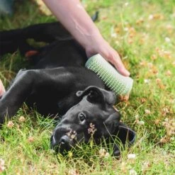 Pet Teezer Welpenbürste -Angebote Hunde Moden Store 230724 pet teezer welpenbuerste hs 19 6