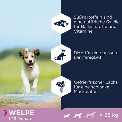 Eukanuba Grain Free Puppy Small / Medium Breed Lachs 3 Eukanuba Grain Free Puppy Small / Medium Breed Lachs – Bild 3