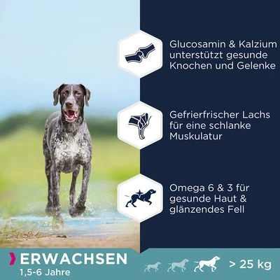Eukanuba Grain Free Adult Large Dogs Lachs – Bild 3
