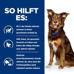 Hill's Prescription Diet Metabolic Weight Management Mit Lamm & Reis -Angebote Hunde Moden Store 243297 hills prescription dietmetabolc lammreis hs 03 9