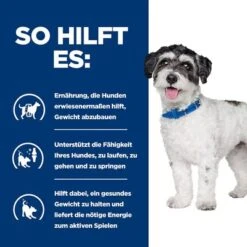 Hill's Prescription Diet Metabolic + Mobility Gewichtsmanagement Mini -Angebote Hunde Moden Store 243597 hills prescriptiondiet metabolic mobilitymini 6kg hs 03 0
