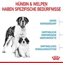Royal Canin Giant Starter Mother & Babydog -Angebote Hunde Moden Store 252309 royalcanin giantbreed starter motherbabydog hs 03 1