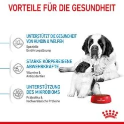 Royal Canin Giant Starter Mother & Babydog -Angebote Hunde Moden Store 252309 royalcanin giantbreed starter motherbabydog hs 04 6