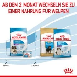 Royal Canin Giant Starter Mother & Babydog -Angebote Hunde Moden Store 252309 royalcanin giantbreed starter motherbabydog hs 09 5