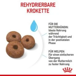 Royal Canin Giant Starter Mother & Babydog -Angebote Hunde Moden Store 252309 royalcanin giantbreed starter motherbabydog hs 6 8