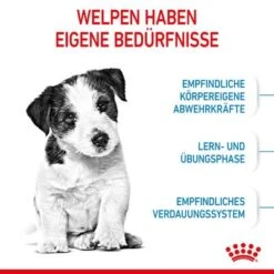Royal Canin Mini Puppy -Angebote Hunde Moden Store 252997 252306 253096 royalcanin dog mini puppy hs 06 6