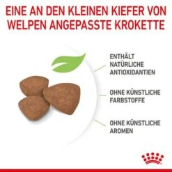 Royal Canin Mini Puppy -Angebote Hunde Moden Store 252997 252306 253096 royalcanin dog mini puppy hs 08 5