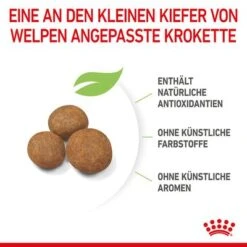 Royal Canin Giant Puppy -Angebote Hunde Moden Store 253099 royalcanin dog giant puppy hs 06 7