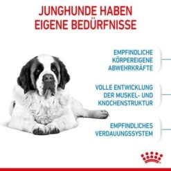 Royal Canin Giant Junior -Angebote Hunde Moden Store 253100 royalcanin dog giant junior hs 05 6