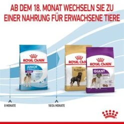 Royal Canin Giant Junior -Angebote Hunde Moden Store 253100 royalcanin dog giant junior hs 10 5