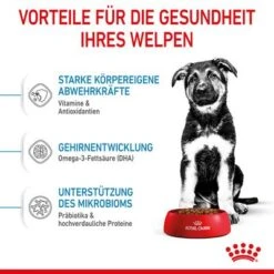 Royal Canin Maxi Puppy -Angebote Hunde Moden Store 253296 253297 royalcanin puppymaxi dog hs 04 8