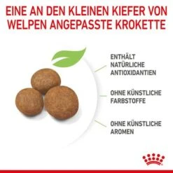 Royal Canin Maxi Puppy -Angebote Hunde Moden Store 253296 253297 royalcanin puppymaxi dog hs 06 6