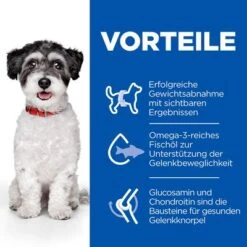 Hill's Science Plan Adult Perfect Weight & Active Mobility Small & Mini Mit Huhn -Angebote Hunde Moden Store 261196 261296 hills scienceplan adult perfectweight active mobility small huhn hs 02 2