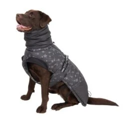 Hundemantel Reflecting Stars -Angebote Hunde Moden Store 262100 labrador fg 1982 1