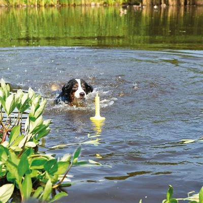 Trixie Aqua Toy MOT®-Aqua 2 Trixie Aqua Toy MOT®-Aqua – Bild 2