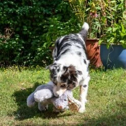 Hundespielzeug Elsie -Angebote Hunde Moden Store 267996 elsie mit hund fg 3306 3