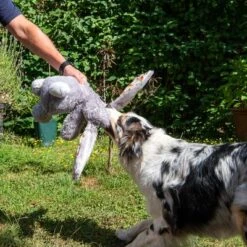 Hundespielzeug Elsie -Angebote Hunde Moden Store 267996 elsie mit hund fg 3309 7