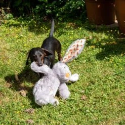 Hundespielzeug Elsie -Angebote Hunde Moden Store 267996 elsie mit hund fg 3339 8