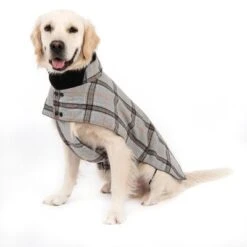 Hundemantel Flannel Check -Angebote Hunde Moden Store 269071 flannel check 60cm fg 2336 5