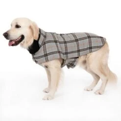 Hundemantel Flannel Check -Angebote Hunde Moden Store 269071 flannel check 60cm fg 2346 8