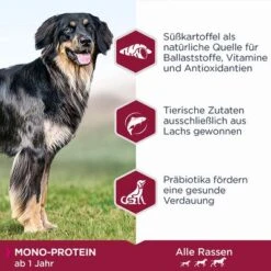 Eukanuba Adult Mono-Protein Mit Lachs 7 Eukanuba Adult Mono-Protein Mit Lachs -Angebote Hunde Moden Store 285299 285298 tetra eukanuba adult monoprotein lachs hs 02 9