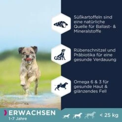 Eukanuba Grain Free Adult Small / Medium Breed Huhn -Angebote Hunde Moden Store 285396 285397 tetra eukanuba grainfree adult small hs 01 0