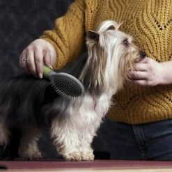 Moser Beidseitige Fellpflegebürste -Angebote Hunde Moden Store 289796 moser beidseitige fellpflegebuerste hs 02 1