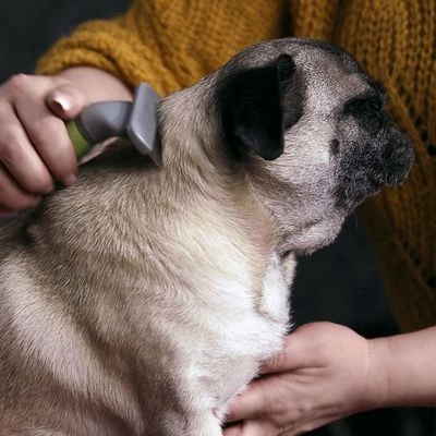 Moser Unterwollkamm 2 Moser Unterwollkamm – Bild 2