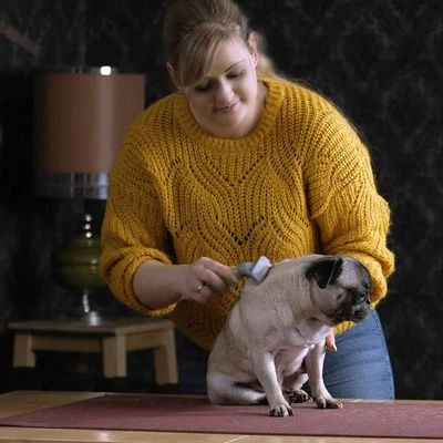 Moser Unterwollkamm 3 Moser Unterwollkamm – Bild 3