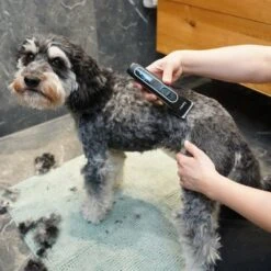 Kooa Akku-Schermaschine GEAR 3S -Angebote Hunde Moden Store 293196 kooa akku schermaschine gear 3s 3 6