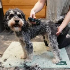 Kooa Akku-Schermaschine GEAR 3S -Angebote Hunde Moden Store 293196 kooa akku schermaschine gear 3s 4 7