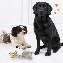 Doglove Hundespielzeug Maus -Angebote Hunde Moden Store 303296 edupet doglove hundespielzeug maus hs 05 2