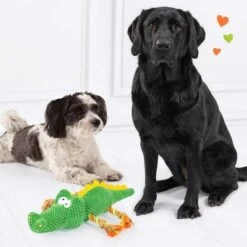 Doglove Hundespielzeug Krokodil -Angebote Hunde Moden Store 303496 edupet doglove hundespielzeug krokodil hs 05 1