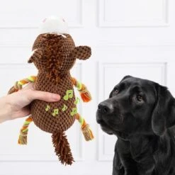 Doglove Hundespielzeug Pferd -Angebote Hunde Moden Store 303597 edupet doglove hundespielzeug pferd hs 03 7