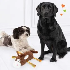Doglove Hundespielzeug Pferd -Angebote Hunde Moden Store 303597 edupet doglove hundespielzeug pferd hs 05 3