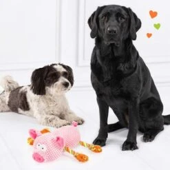 Doglove Hundespielzeug Schwein -Angebote Hunde Moden Store 303598 edupet doglove hundespielzeug pferd hs 05 3