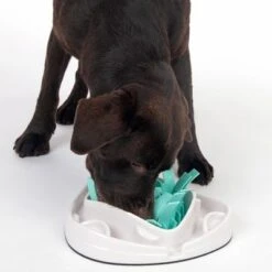 TIAKI Intelligenzspielzeug Grass Slow Feeder -Angebote Hunde Moden Store 304297 tiaki dog grass slow feeder fg 1834 7