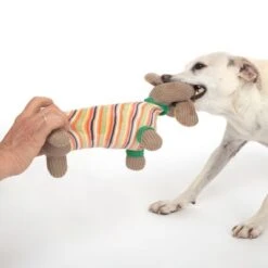 TIAKI Hundespielzeug Dackel Cooper -Angebote Hunde Moden Store 309596 striped jumper cooper hs 36 8