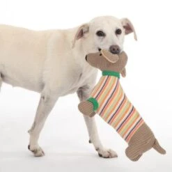 TIAKI Hundespielzeug Dackel Cooper -Angebote Hunde Moden Store 309596 striped jumper cooper hs 38 4
