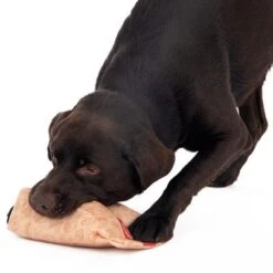 Hundespielzeug Squeaky Burger Menü 28 Hundespielzeug Squeaky Burger Menü -Angebote Hunde Moden Store 309997 hundespielzeug squeaky burguermenu hs 15 9