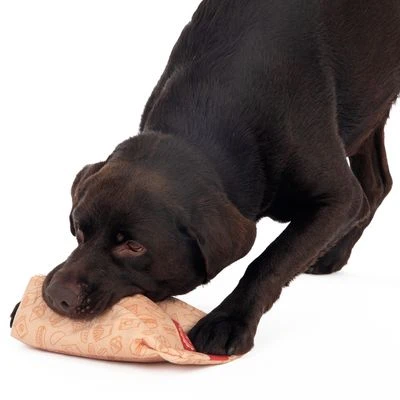 Hundespielzeug Squeaky Burger Menü 10 Hundespielzeug Squeaky Burger Menü – Bild 10