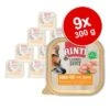 RINTI Leichte Beute 9 X 300 G