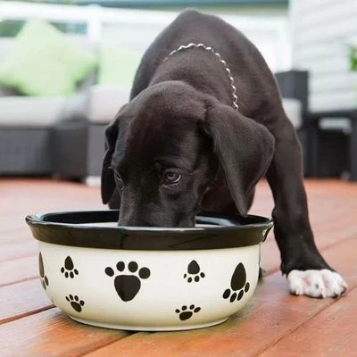 Vet's Best® Dental Atemerfrischer 2 Vet's Best® Dental Atemerfrischer – Bild 2