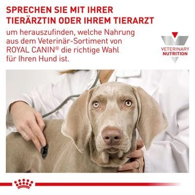 Royal Canin Expert Canine Neutered Adult Small Dog 9 Royal Canin Expert Canine Neutered Adult Small Dog – Bild 9