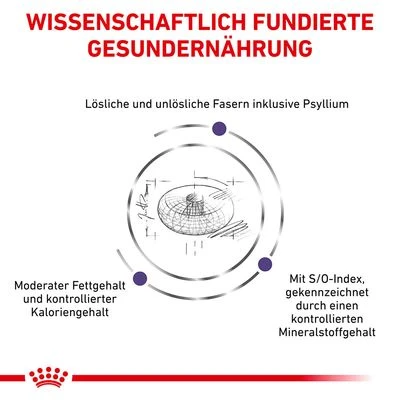 Royal Canin Expert Canine Neutered Adult Small Dog 3 Royal Canin Expert Canine Neutered Adult Small Dog – Bild 3