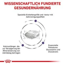 Royal Canin Expert Canine Dental Medium & Large Dog -Angebote Hunde Moden Store 3182550925310 328 4 0