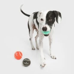 Nomad Tales Bloom Tennisball-Set 23 Nomad Tales Bloom Tennisball-Set -Angebote Hunde Moden Store 323035 nomad tales tennisball set 04 5