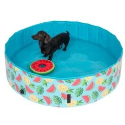TIAKI Hundeschwimmbecken Mit Abdeckung -Angebote Hunde Moden Store 325909 schwimmende wassermelone mit ball fg 6696 3